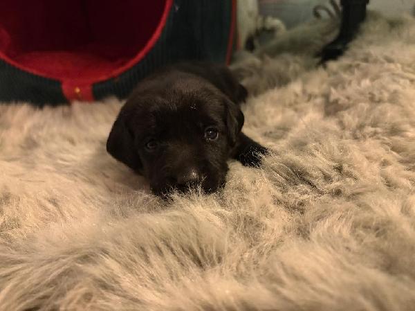 Photo Dec 16 2025, 16 41 06.jpg