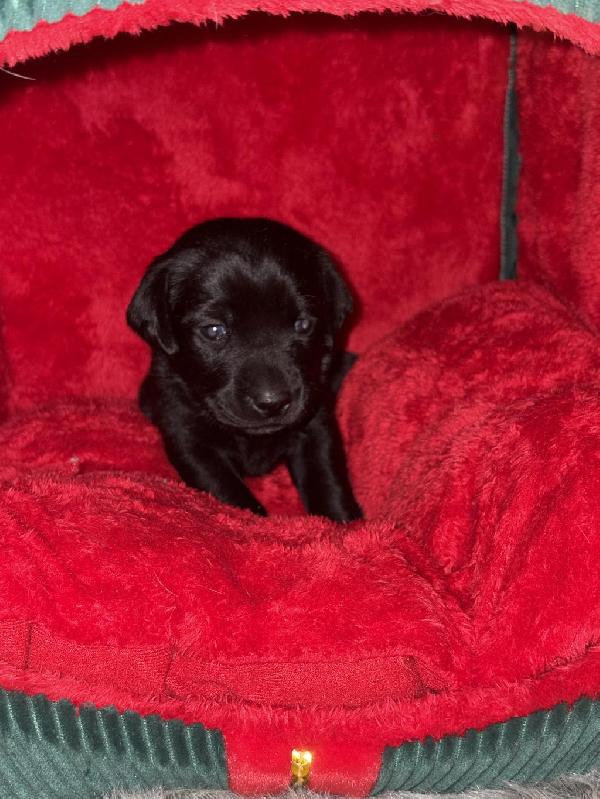 Photo Dec 16 2025, 16 16 10.jpg