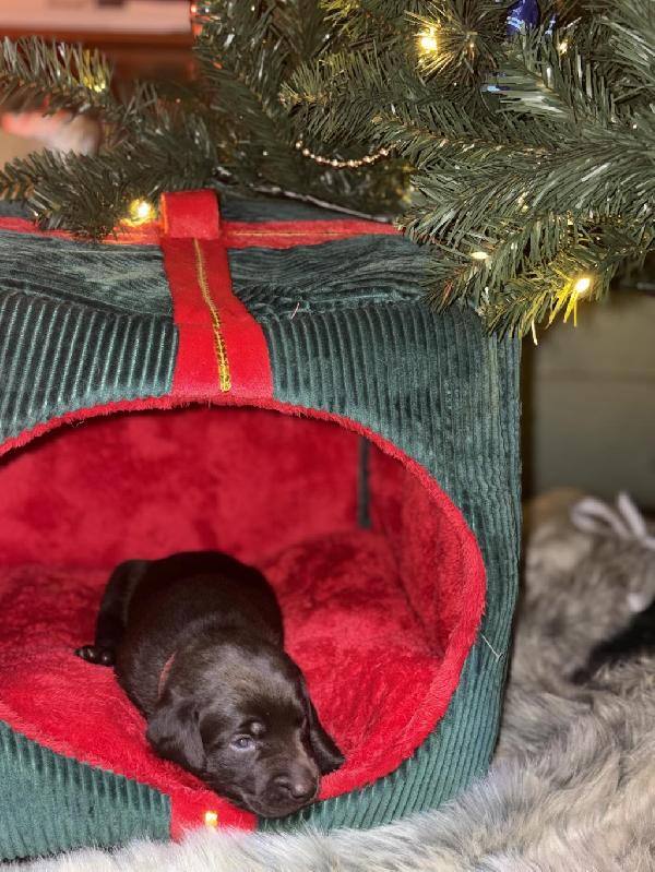 Photo Dec 16 2025, 16 26 17.jpg