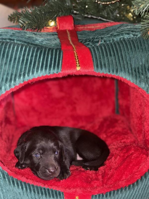 Photo Dec 16 2025, 16 27 57.jpg