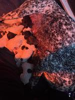 IMG_8100.jpeg