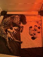 IMG_8104.jpeg