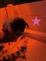 IMG_8134.jpeg