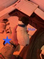 IMG_8118.jpeg