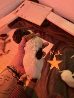 IMG_8120.jpeg