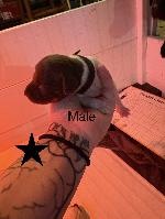 IMG_8115.jpeg