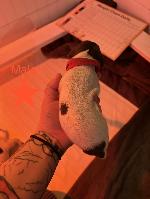 IMG_8128.jpeg