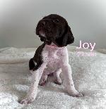 IMG_4394.JPEG