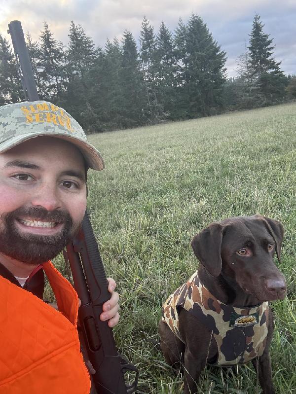 CHOCOLATE LABRADOR RETRIEVER PUPPIES Labrador Retriever