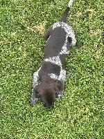 IMG_2831.jpeg