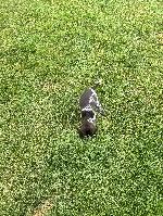 IMG_2818.jpeg