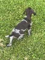 IMG_2844.jpeg