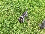 IMG_2816.jpeg