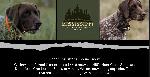 IMG_2615.jpeg