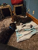 20260516_214533.jpg