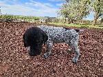 20260528_175843(2).jpg