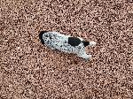 20260528_175846.jpg