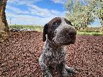 20260528_174049(0).jpg
