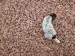 20260528_174222.jpg