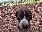 20260528_173458.jpg