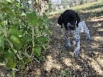 20260608_145923.jpg