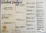 IMG_0456.jpeg