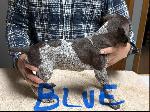 IMG_1901.jpeg