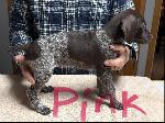 IMG_1923.jpeg