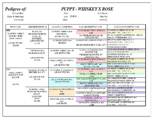 rose_whiskey_pedigree.jpg