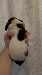 IMG_7112.jpeg