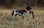 IMG_7108.jpeg