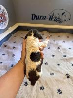 IMG_7168.jpeg
