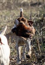 IMG_7109.jpeg