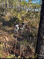 IMG_7110.jpeg