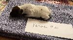 IMG_4130.jpeg