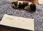 IMG_4148.jpeg