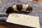 IMG_4152.jpeg
