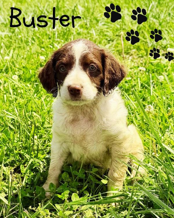 Buster.jpeg