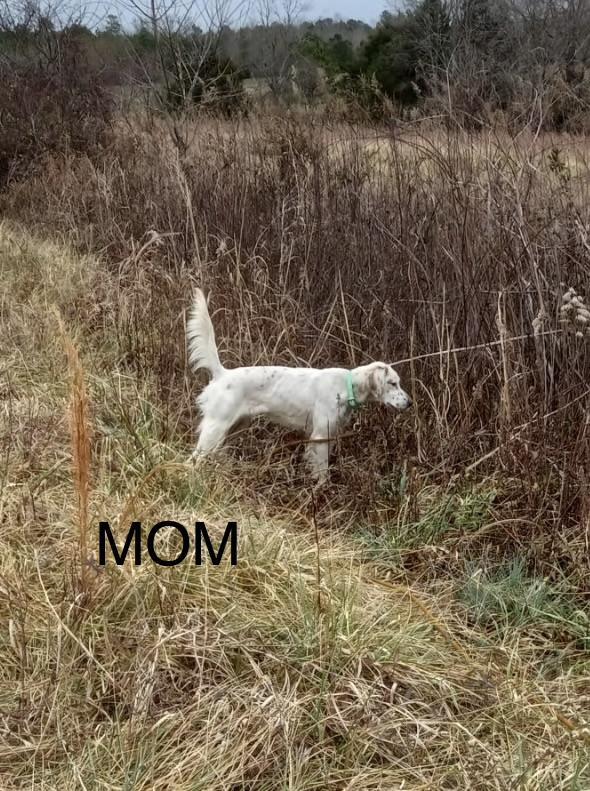 20260117_141149.jpeg