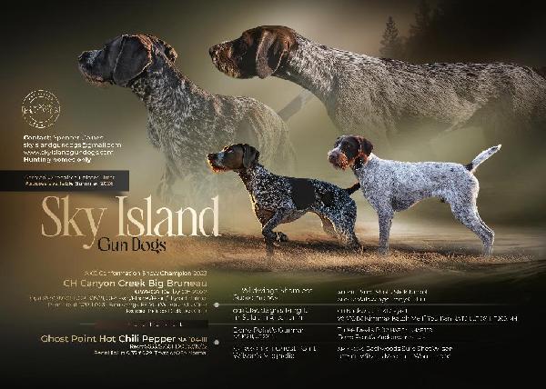 BUILT FOR THE HUNT. BORN FOR YOUR FAMILY. GWP German Wirehaired Pointer