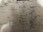 IMG_5370.jpeg