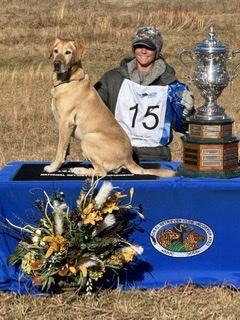Labrador Retriever