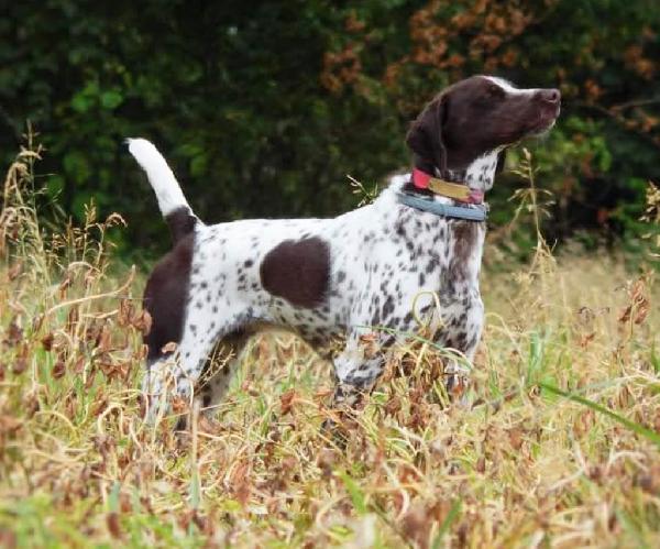 original_0d642daf-981f-4c86-8fac-55f1e158cdcf