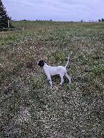 PXL_20251013_233512246.jpg