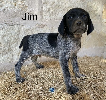 Jim
