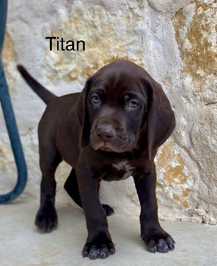 TITAN