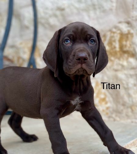 TITAN