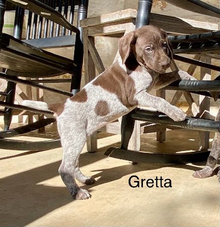 GRETTA