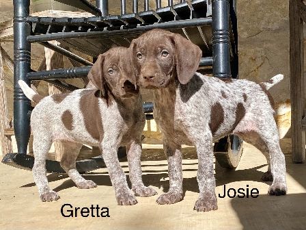 GRETTA & JOSIE