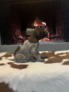 RUBY X MAXIMILLIAN'S BELLE